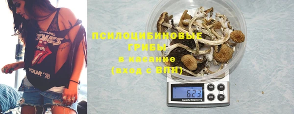 MESCALINE Коряжма