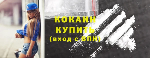 шишки Корсаков