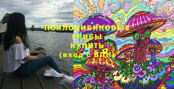 эйфоретик Краснослободск