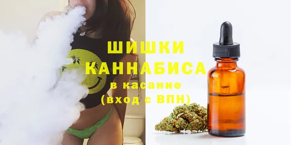 шишки Корсаков