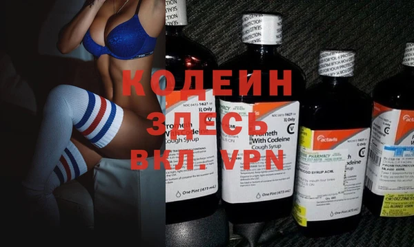 шишки Корсаков