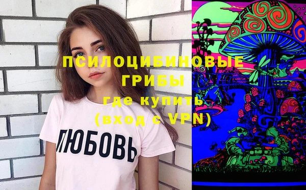 шишки Корсаков