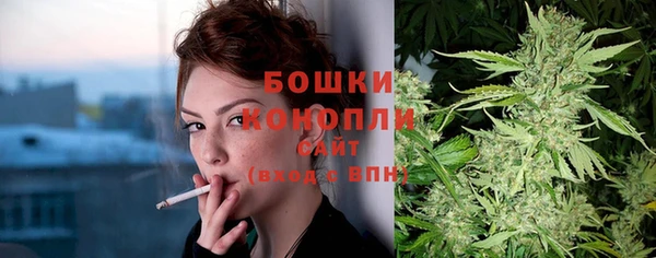 шишки Корсаков