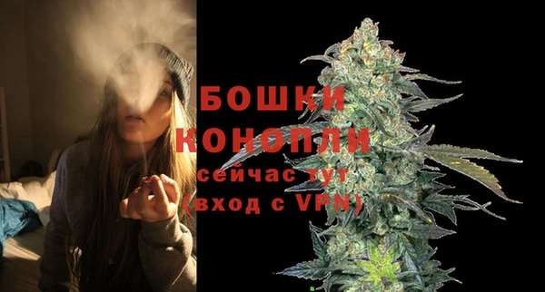 эйфоретик Краснослободск