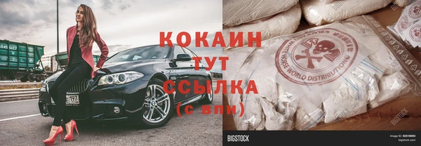 шишки Корсаков