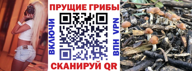 OMG ТОР  купить  сайты  Краснотурьинск  Галлюциногенные грибы ЛСД 